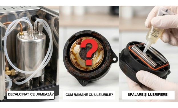 Decalcifiere finalizată? Acum hai să ungem mecanismul