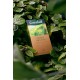 Greenfield Green Melissa Зелёный Чай Мята и Мелисса 25 x 1,5 г
