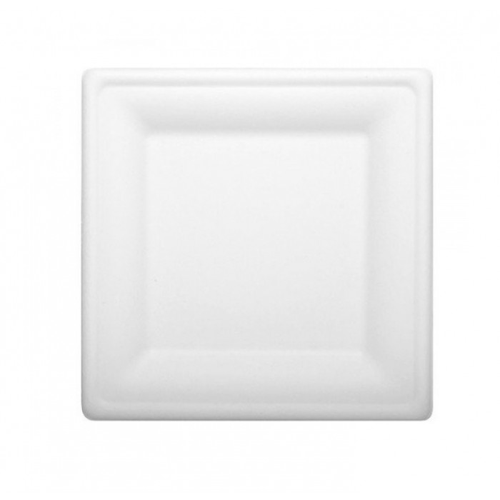 Plate Disposable Biodeg 260 mm 50 pcs