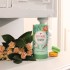 Lovare Bahamian Soursop 80 г Заварной Чай Багамский Саусеп