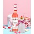 Monin Sirop Bubble Gum Gumă de Mestecat 0.7 L Aromă Dulce Nostalgică
