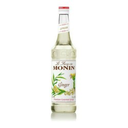 Monin Syrup Ginger Spiced Delight 700 ml