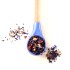 Tess Pleasure Black Pekoe Tea Rosehip Apple & Petals 200 g