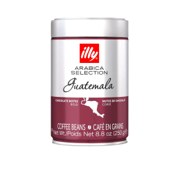 Illy Espresso Guatemala 250 g Aromatic Guatemalan Coffee Beans
