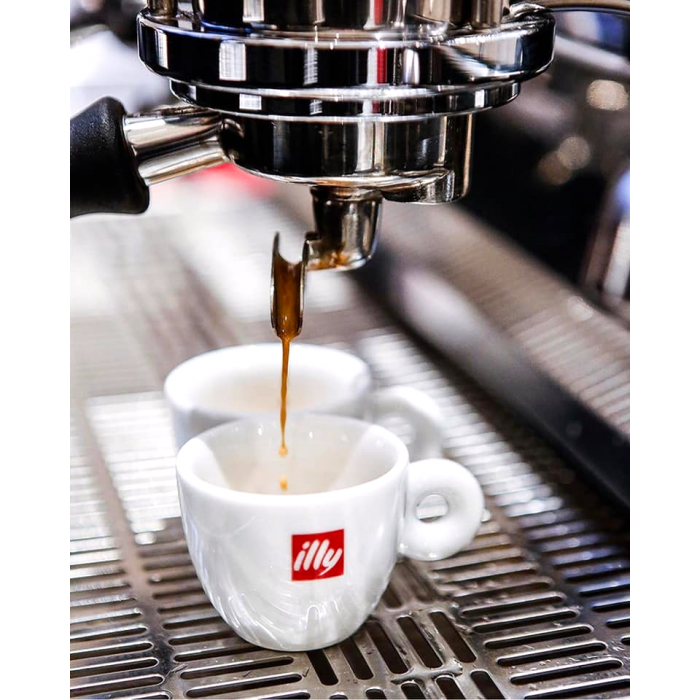 Illy Espresso Guatemala 250 g Coffee Beans